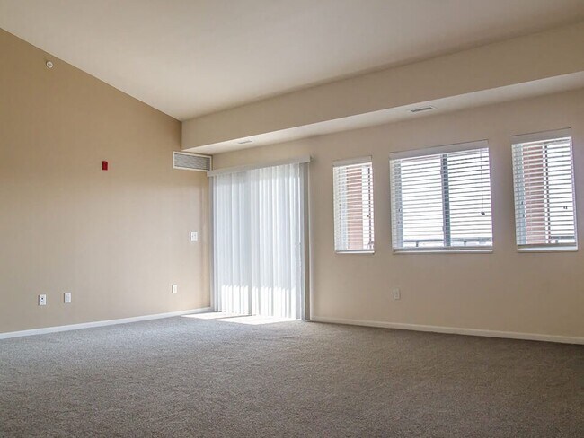 Lots of Natural Sunlight!