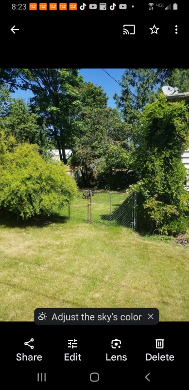 1604 N 203rd Pl  
