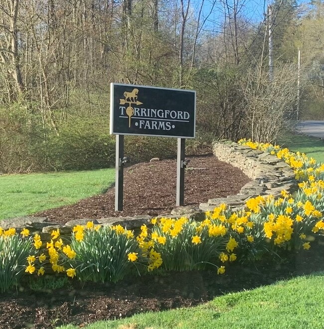 Photo - 61 Trotters Way