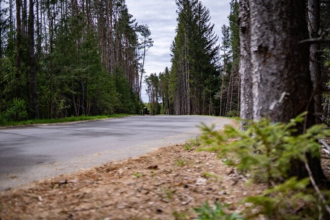 Wooded Drive - Pines45 Apartments