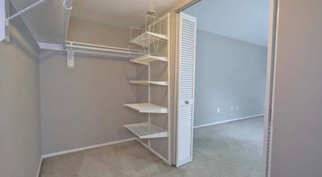 Photo - 2060 Royal Fern Ct Unit 21A