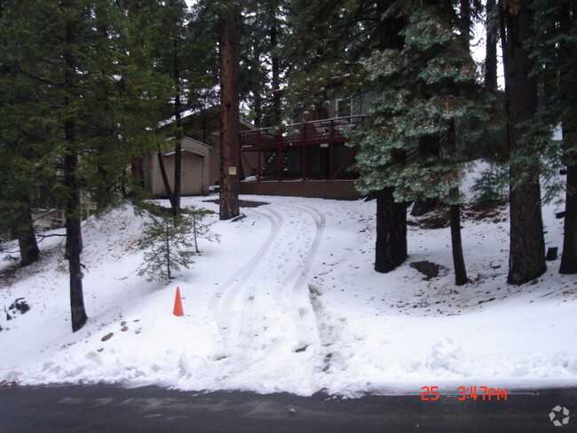 Cabin's Driveway - 31474 Pleasant Dr Rental