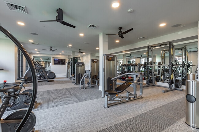 Professional-grade fitness center