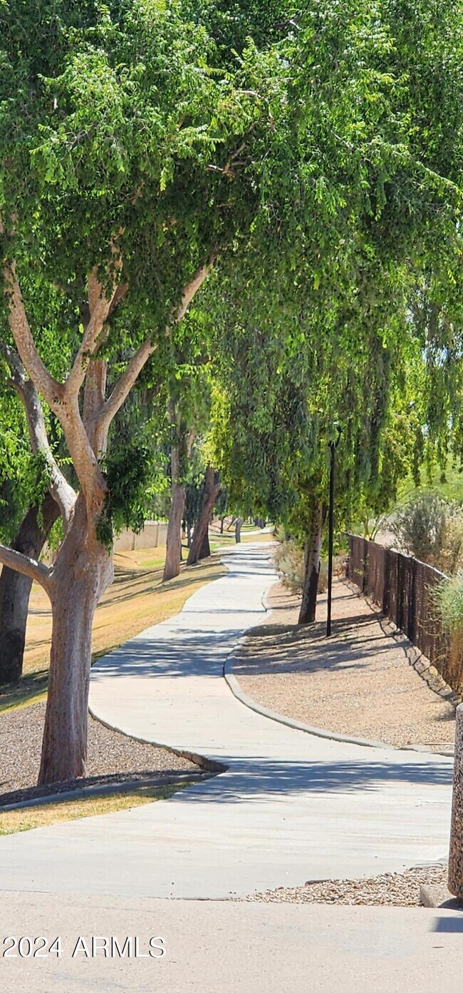 Photo - 10945 W Poinsettia Dr