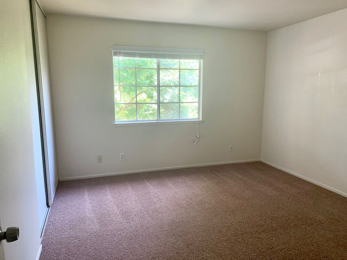 Photo - Quiet and Spacious 2 Bedroom 1 Bath Apartm...