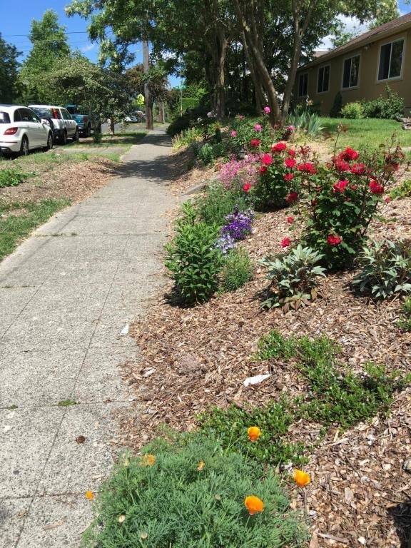 Photo - 5112 Latona Ave NE