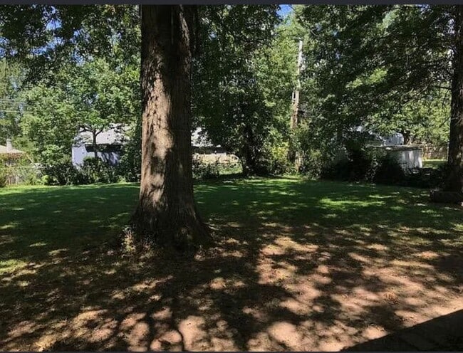 Photo - 3513 Willowood Rd