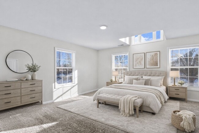 Photo - Nichols Meadows