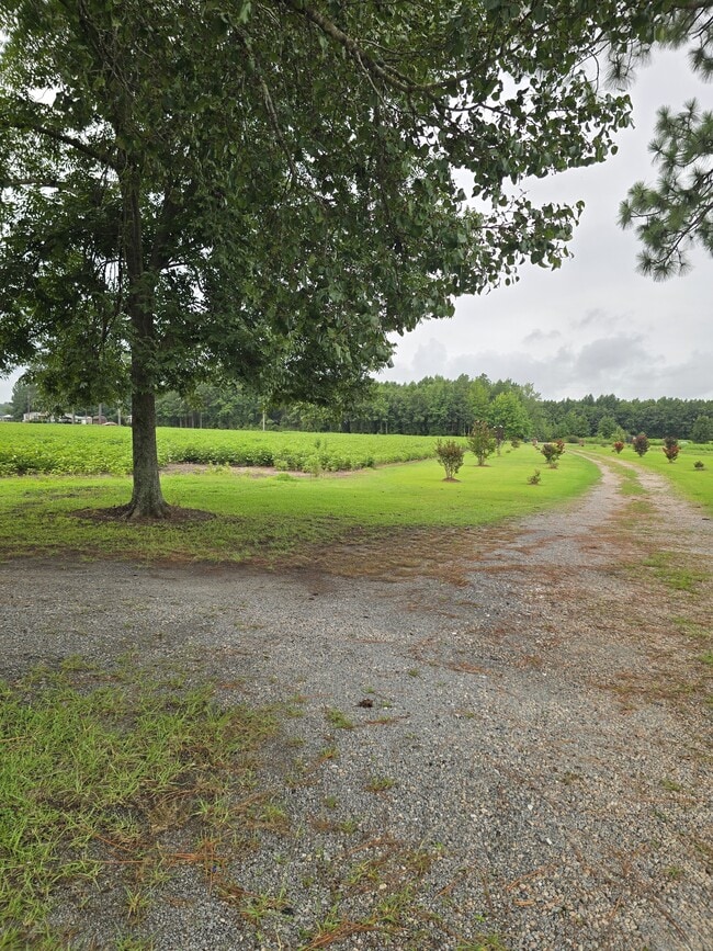 Photo - 1717 Black Rd