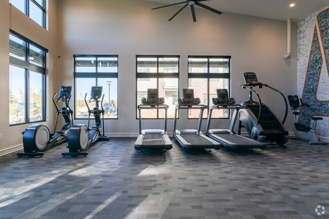 Fitness Center - Arlo