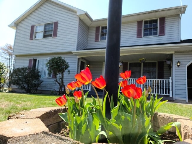 Photo - 80 Lower Newtown Rd