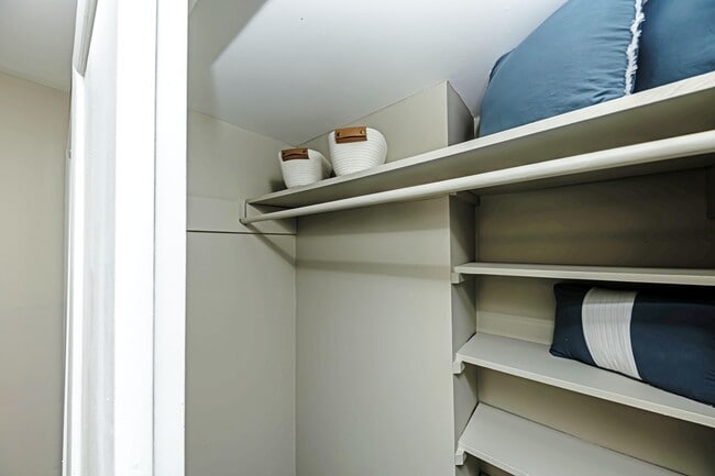 Closet with built in shelving
