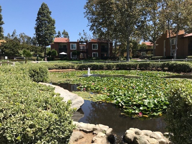 Photo - 17151 W Bernardo Dr Condo Unit #103