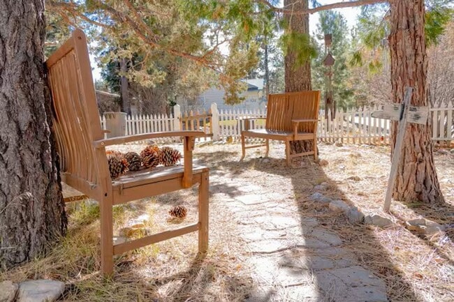 Photo - Mountain Lane