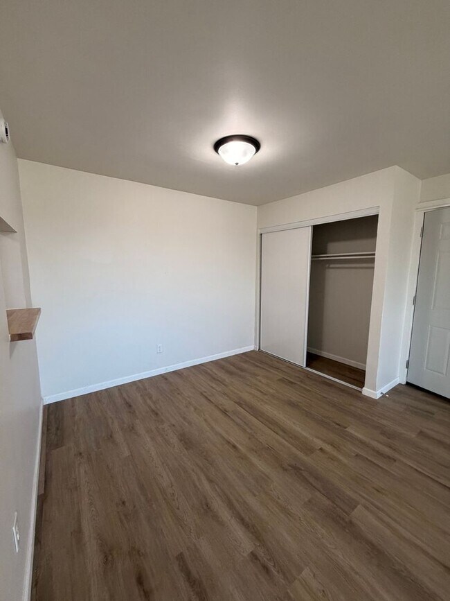 Newly Renovated Apartments