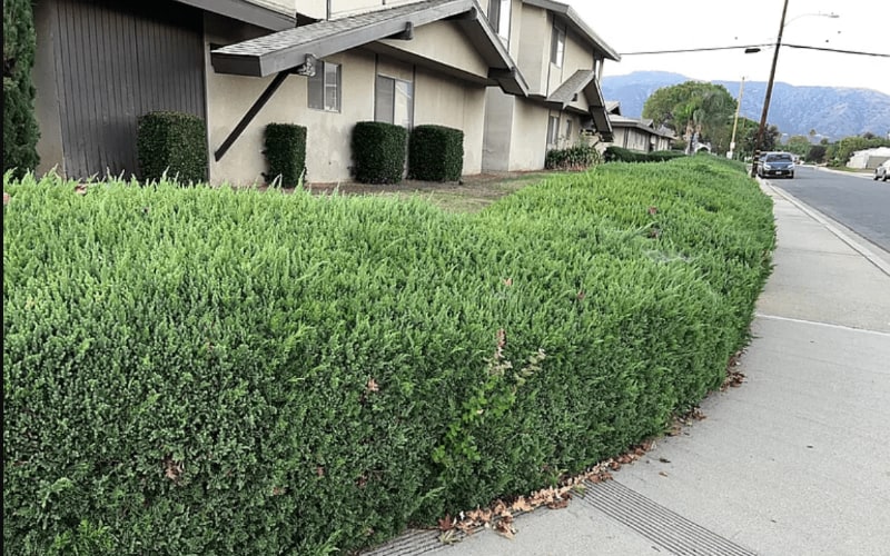 Photo - 2411 Pattiglen Ave Unit 2411