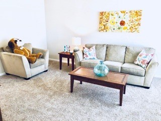 Living Room - Midtown 250