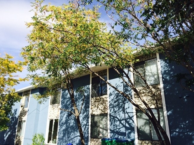 567 Holcomb Ave