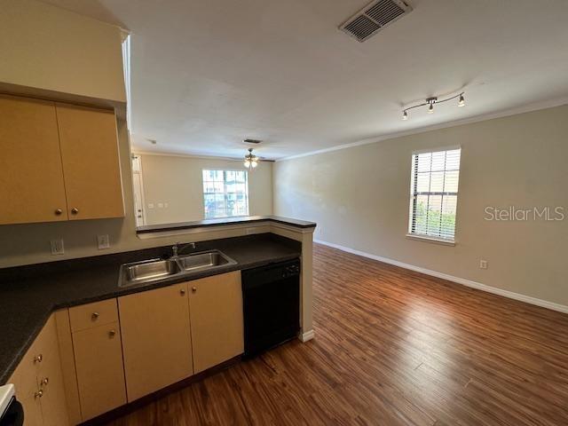 Photo - 727 Siena Palm Dr
