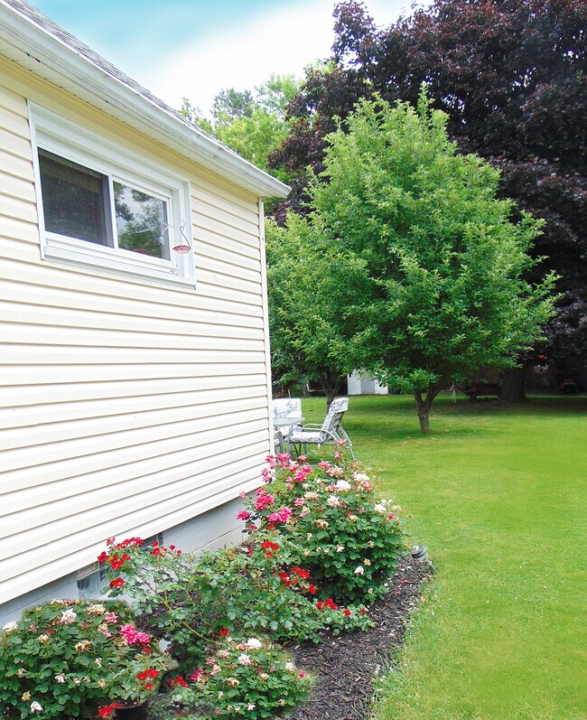 Side yard - 34 Elm St