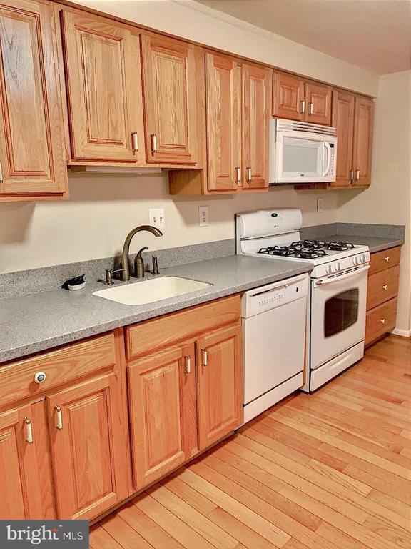 Building Photo - 3100 Black Hickory Dr