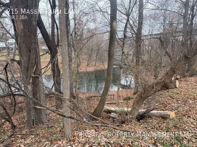 Photo - 215 Massie Farm Ln