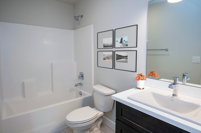 Hall Bathroom