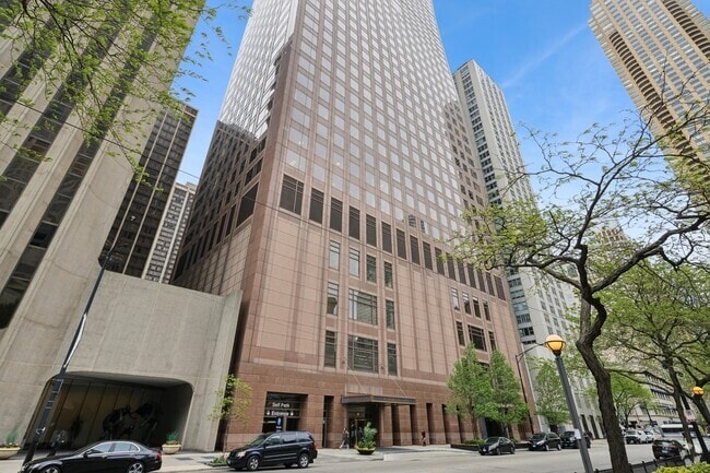 Building Photo - 161 E Chicago Ave Rental