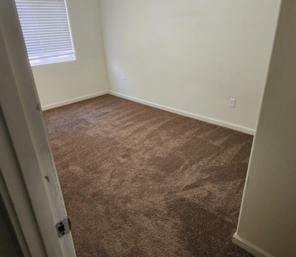 Photo - 931 Wild Rose Ct