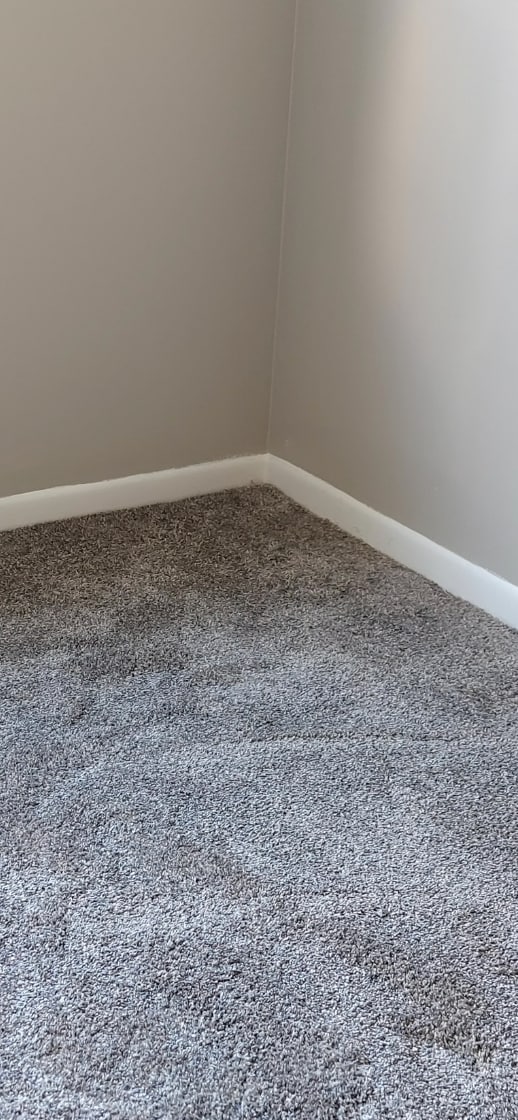 New flooring in bedrooms and living room - 1541 S Ocean Blvd Unit 209