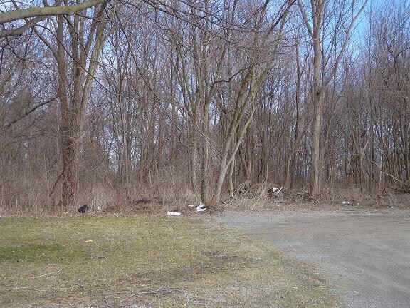 Photo - 8479-8481 East Ave