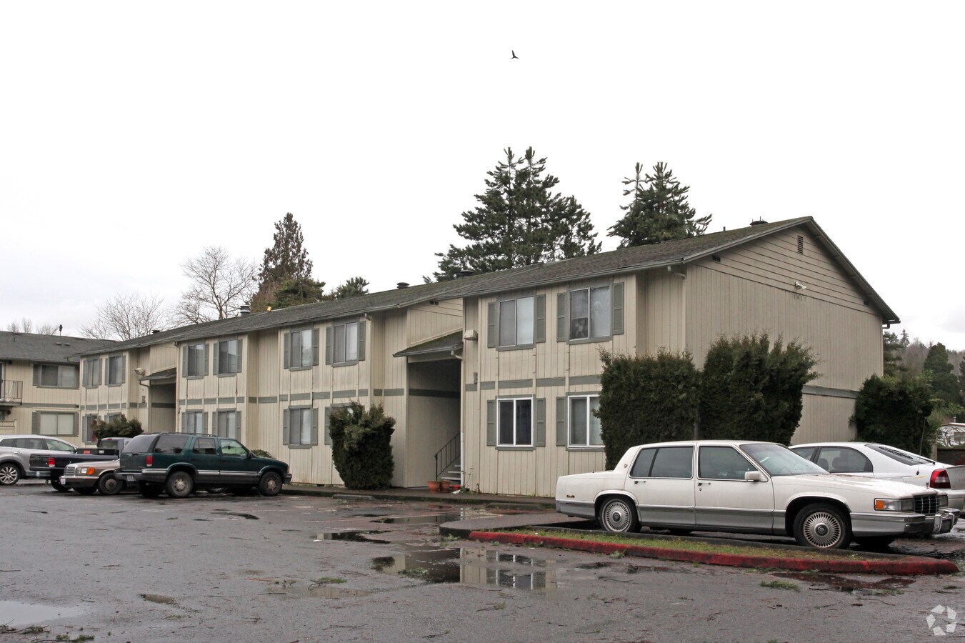 Maple Lane Court Apartments For Rent In Kent Wa Forrent Com