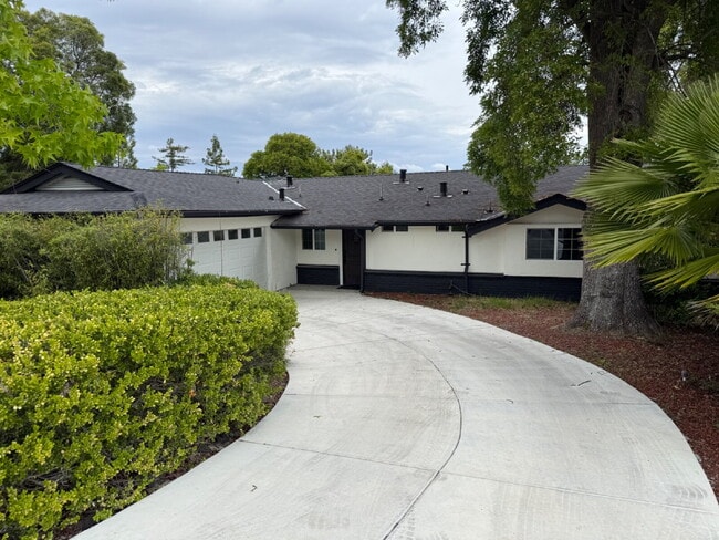Building Photo - Stunning Newly Remodeled 4 Bedroom 3 Bathroom Home in Walnut Creek