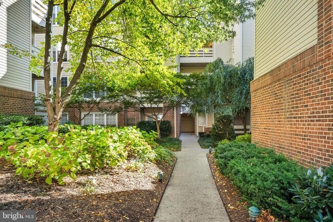 Photo - 240 S Reynolds St Unit 411