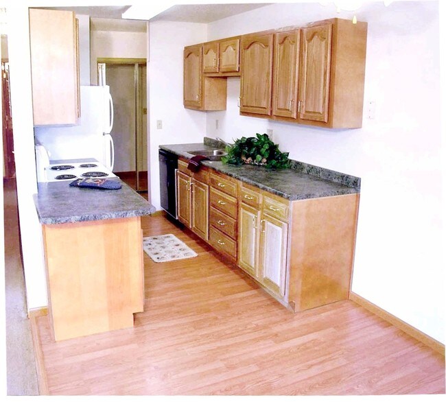Cabinets galare!