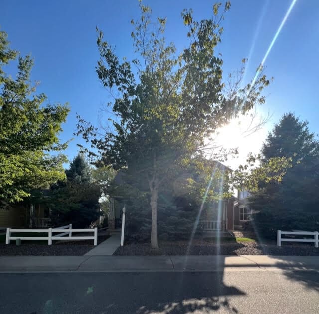 Welcome Home! - 2037 Bear Creek Plz House