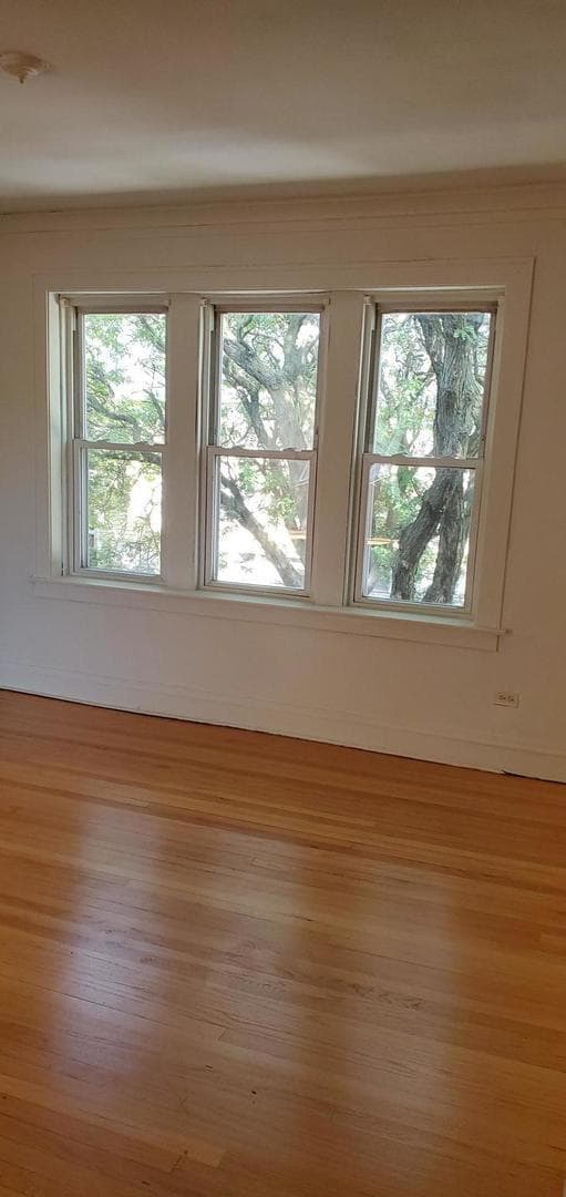 Photo - 10801 S Indiana Ave