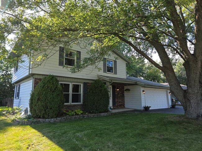 Mt Pleasant 4 bedroom - Mt Pleasant 4 bedroom Casa