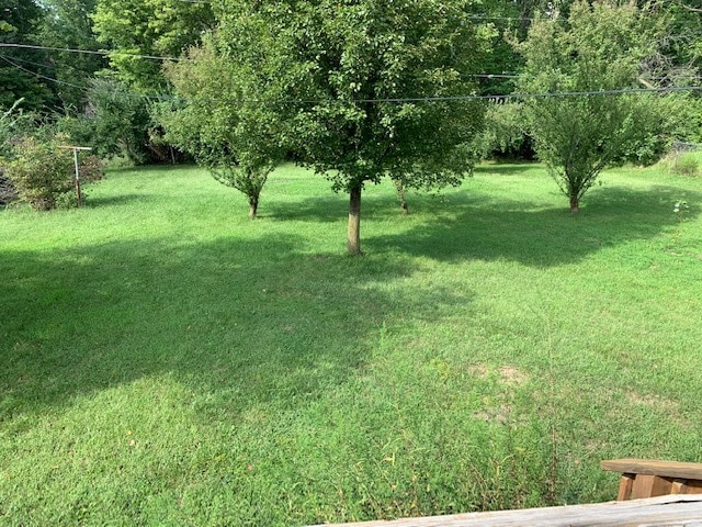 Photo - 2409 Fleetwood Dr