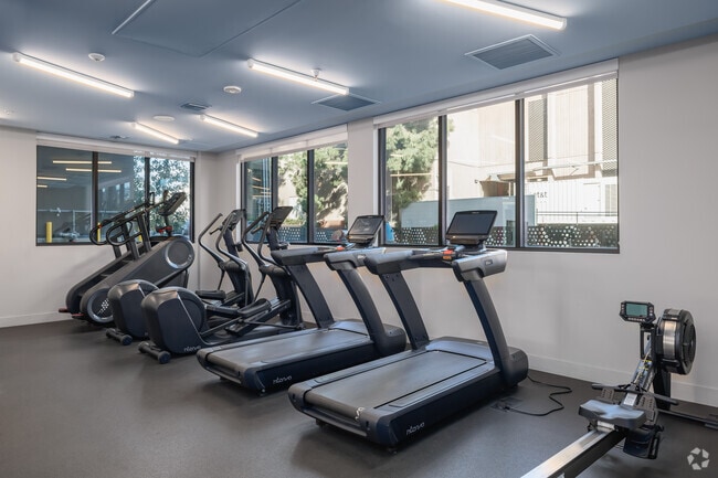 Full Suite Performance Fitness Center