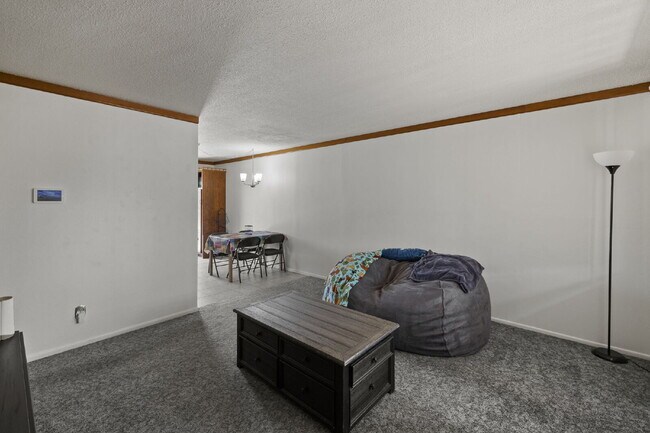 Updated 2 Bed + Bonus Workshop | Huge Backyard | Two Storage Sheds | Carport | Pet Friendly