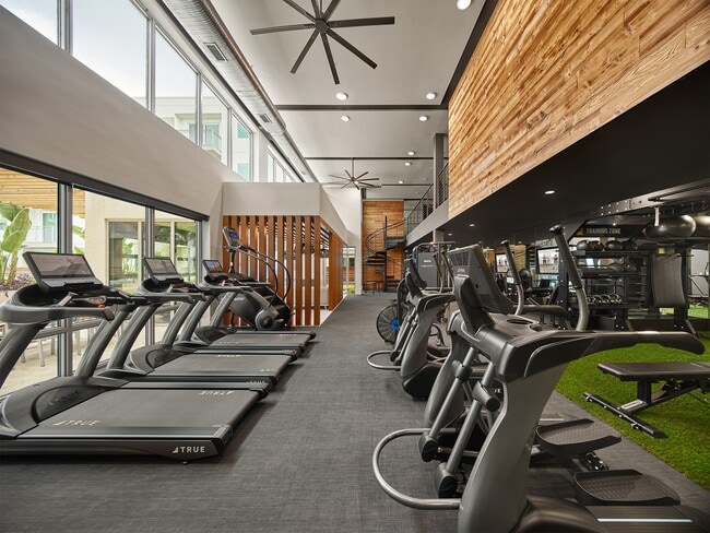 Fitness