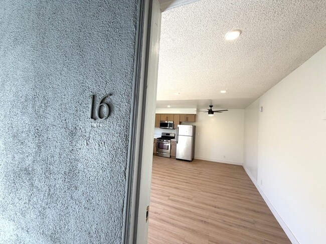 Photo - cla351