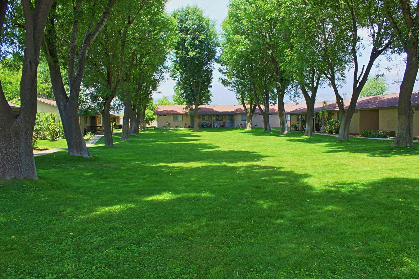 Beaumont Park Apartments - Beaumont Park Apartments