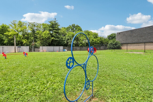 Dog Park