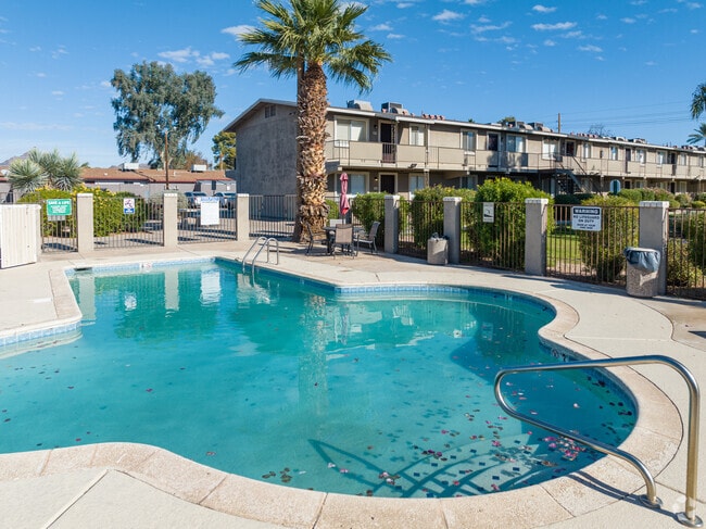 Camelback - Pool - Camelback Courtyard Rental