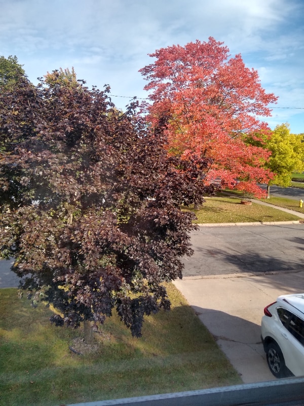 Photo - 2124 Vermont Ave