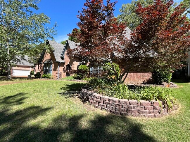 Photo - 6700 Kirby Oaks Ln