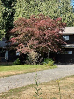 Photo - 8641 Berthusen Rd Unit B