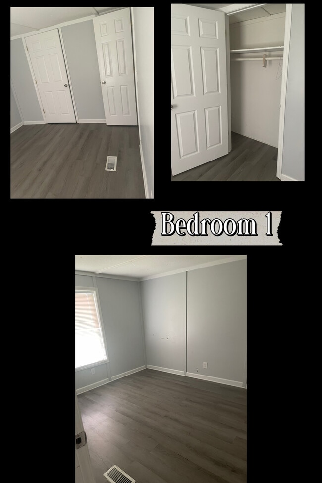 Photo - 44 Racoon St